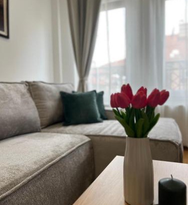 Arandelovac Apartamento | Loyal 1