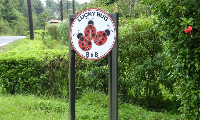 Arenal Cama Y Desayuno | Lucky Bug Bed And Breakfast