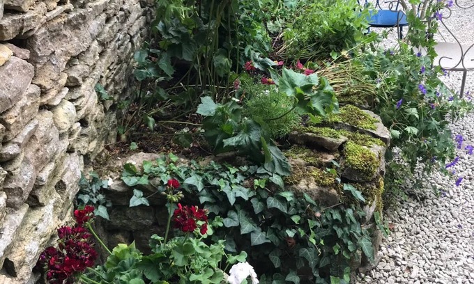 Stow-on-the-Wold Cama Y Desayuno | Lucy's Tearoom B&B