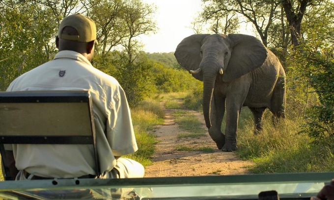 Buffelspruit Cabina | Lukimbi Safari Lodge