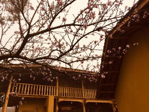Dong Van Cabina | Lullaby Ha Giang Homestay