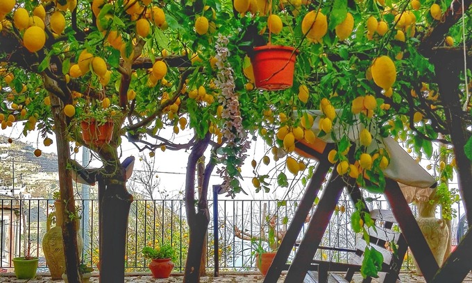 Minori Villa | Limoneto di Lulù, ¡vacaciones entre los limones!