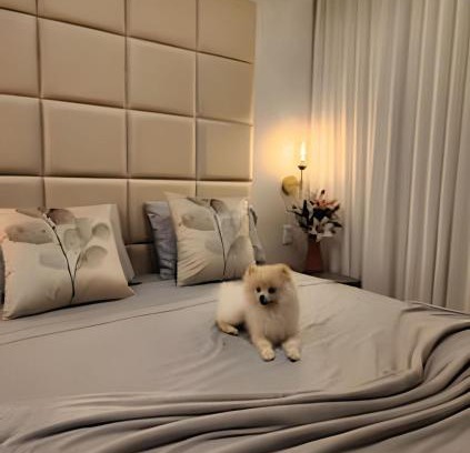 Goiania Apartamento | Lux Flamboyant - Marylebone