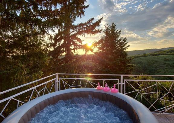 Petrovaradin Casa | Lux Star-vila za odmor