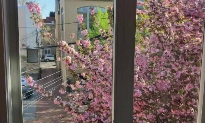Dupont Circle Casa | Luxe, Metro & Free parking!