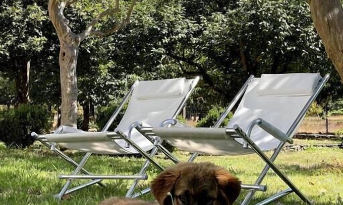 Lousa Apartamento | Luxurious stay at Quinta do Areal country house