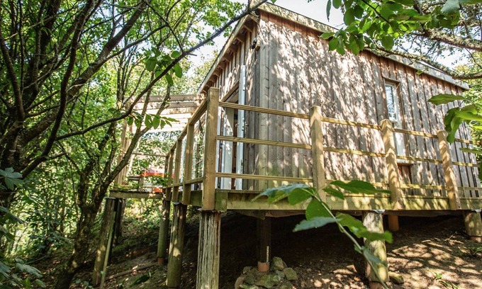 Porthtowan Cabina | Luxurious eco treetop cabin 5 mins from the beach