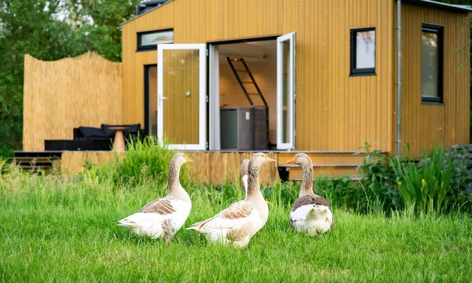 Oudesluis Casa | Luxurious Tiny House with terrace and great view (30min from Adam!)