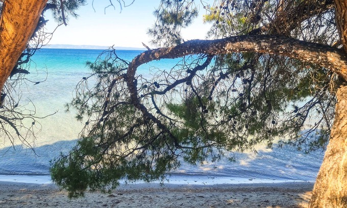 Elia Nikitis Apartamento | Luxury Apartment in Akti Elias Sithonia