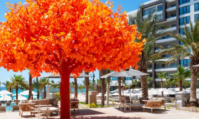 Rancho Cerro Colorado Apartamento | Luxury Awaits: Stunning 2-Bedroom Ocean View Suite in Los Cabos Paradise