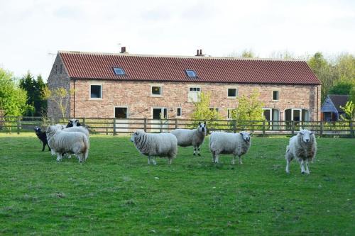 Sutton on the Forest Casa | Luxury Barn with sauna near York welcoming families, friends, groups