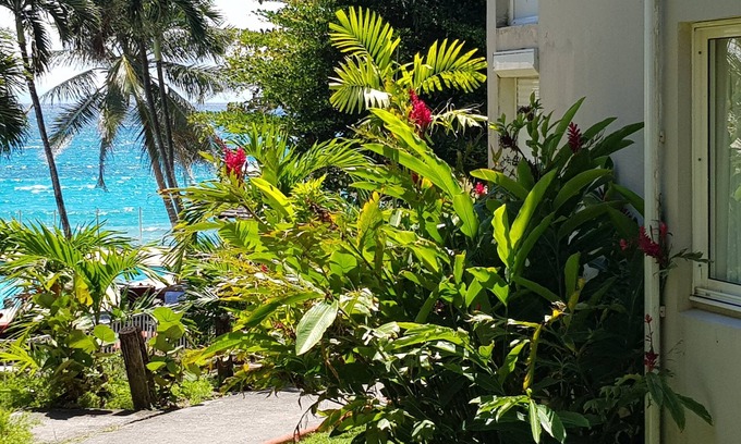 Pointe de la verdure Apartamento | Luxury beach access apartment - sleeps 5