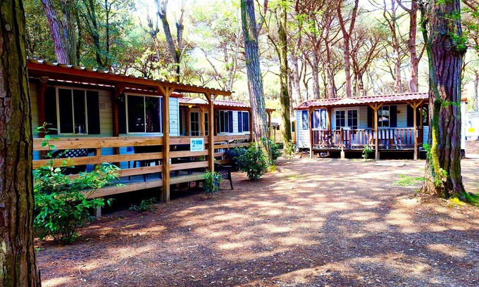 Lido degli Estensi Chalet De Esquí | Luxury Chalet near the sea! (no: 726)