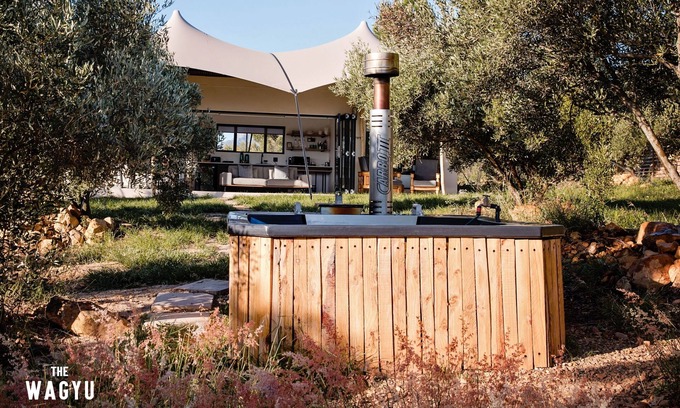 Paarl Cabina | Luxury Farm Stay Surrounded by Vineyards, Almonds, Wagyu Cattle & Mountain Views