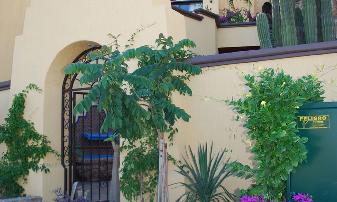 Pedregal Casa | Casa de lujo con piscina de borde infinito! Caminar a la ciudad, el puerto y la playa!