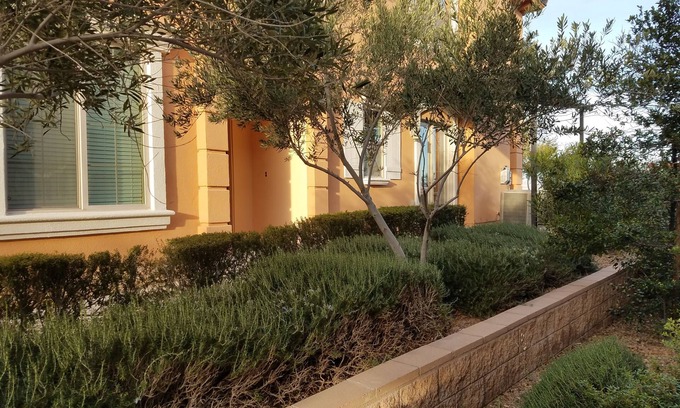 Lake Las Vegas Condominio | Luxury Lake Las Vegas Condo 2 habitaciones con servicios