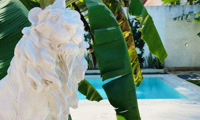 Kiwengwa Villa | Luxury Lions Villas Zanzibar - with Private Cook&Infinity Pools