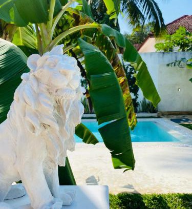Kiwengwa Villa | Luxury Lions Villas Zanzibar - with Private Cook&Infinity Pools