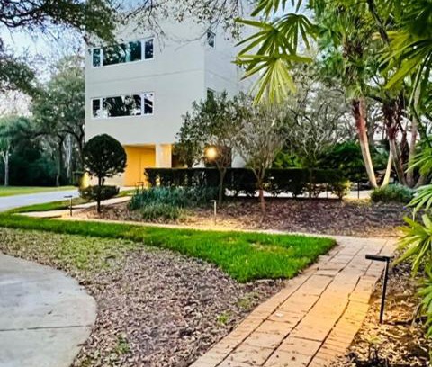 Oldsmar Casa | Luxury Modern Retreat I Spacious, Private & Serene