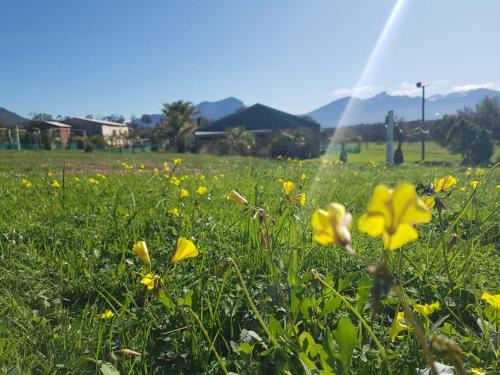 Tulbagh Otro | Luxury Pre-Pitched 2-4 Person Tent