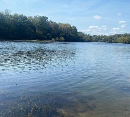 Knox County Casa | Luxury Riverfront Tiny Home- Amazing Views #555