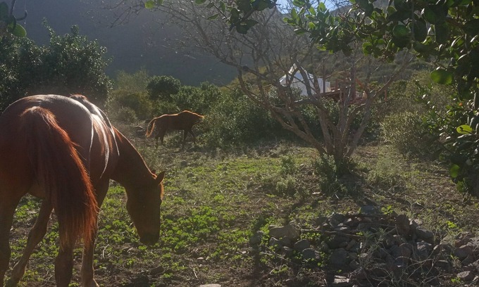 Cabo Punta Banda Alquiler De RV | 20% DESCUENTO. Glamping con deck privado y baño ecológico. Mascotas bienvenidas.