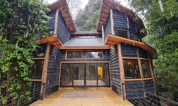 Futrono Casa | Mágica Casa Enclavada en el Corazón del Bosque