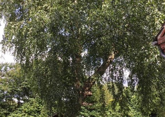 Suederluegum Apartamento | Mühlenweg Onkel Fiffi