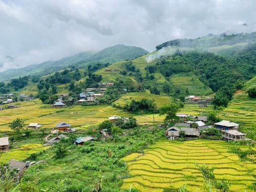 Sa Pa Cama Y Desayuno | MƯỜNG HOA Peaceful HOMESTAY & Sapa