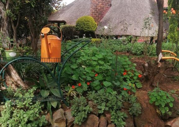 Greater Johannesburg Metropolitan Area Apartamento | M &M Guest Cottage