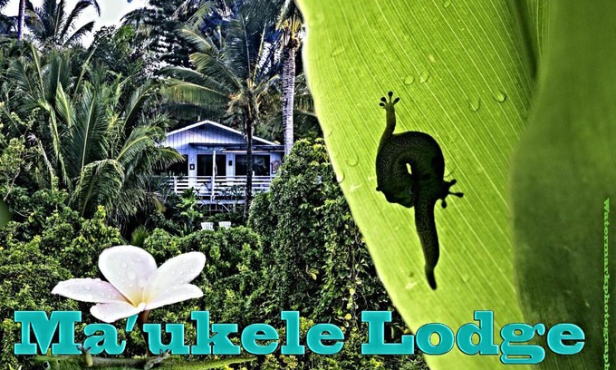 Kalapana Cama Y Desayuno | Ma'ukele Lodge