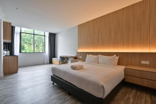 Downtown George Town Hotel | Macalister 288