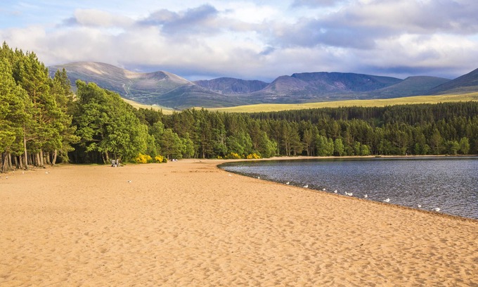 Aviemore Cabina | Macdonald Aviemore Woodland Lodges