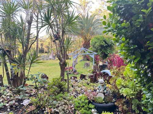 Woollamia Casa | Macyland