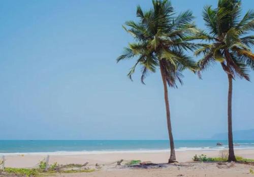 Arambol Casa | Madrid Home Stay Goa 10 min to Beach