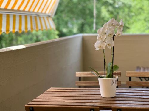 Ronchi Apartamento | Mafiolina d'Amare