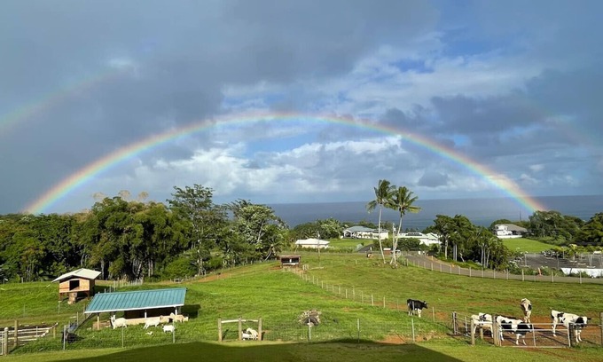 Paukaa Cama Y Desayuno | Magic Skies Ocean View Turtle Room