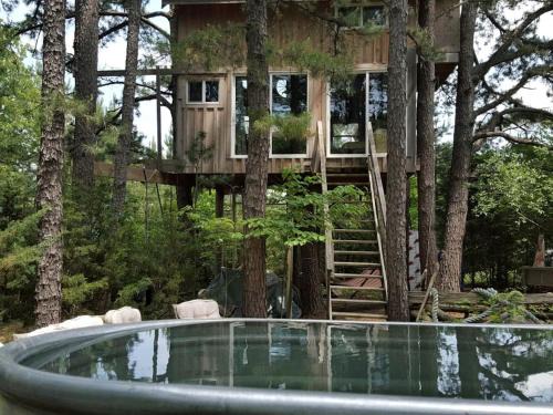 Grubville Casa | Magical Tree House Rental Nestled in the Woods on Farm Retreat near St. Louis, Missouri
