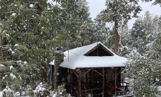 Idyllwild Cabina | MAGICAL! ultra-vintage remod 1937- fence for dogs