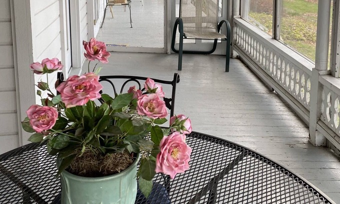 Ithaca Casa | Magical Victorian lake cottage 3 BR/2BR