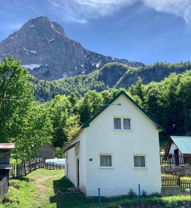 Pluzine Casa | MAGLIC