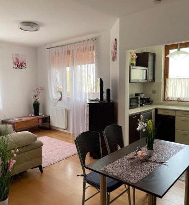 Hegyko Apartamento | Magnólia Apartmam