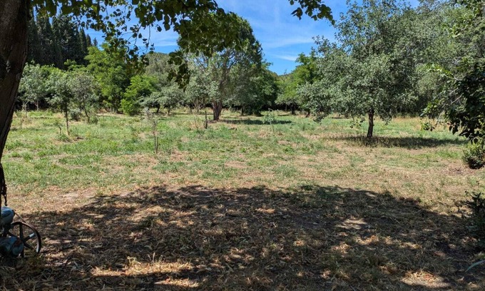 Montesquieu-des-Alberes Apartamento | Magnificent studio in the heart of nature