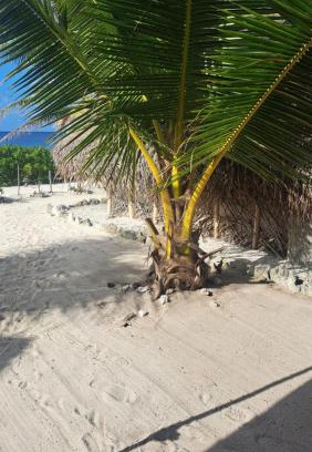 Huahine Otro | Mahana Tua Lodge Huahine