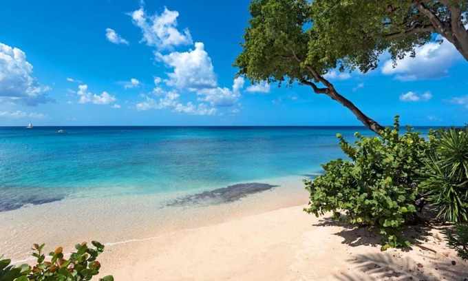 Old Trees Bay Casa | Mahogany Bay by Blue Sky Luxury