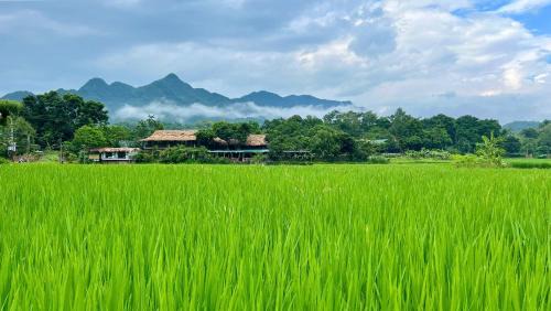 Mai Chau Complejo | Mai Chau Sky Resort