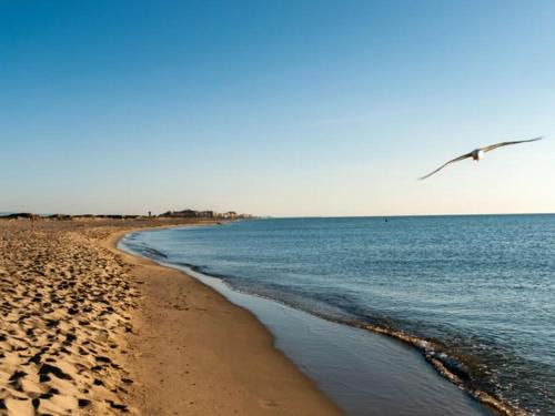 La Jetee Casa | Maison 3* à Canet-Plage, 600m de la plage, climatisée, terrasse, 6 couchages, Wi-Fi - FR-1-748-13
