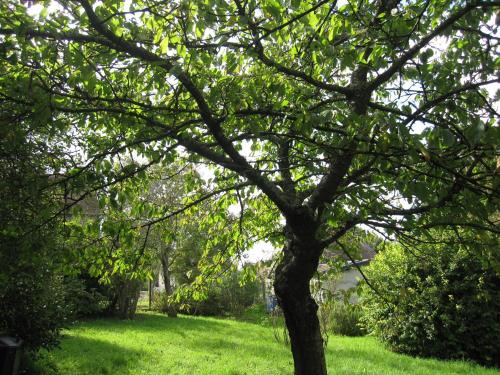 Cairon Casa | Maison avec grand jardin pour 15 couchages en Normandie