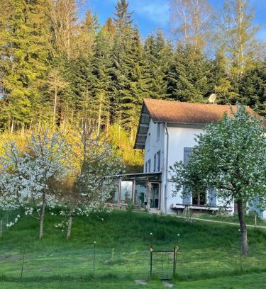 Le Clerjus Casa | Maison Bardoz