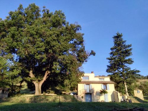 Valensole Casa | Maison d'hôtes du Grand Chêne